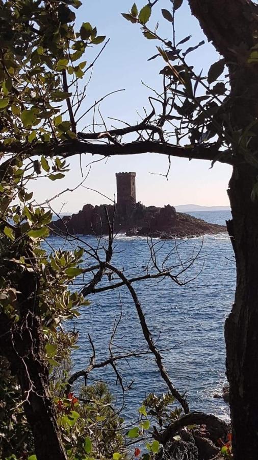 SAINT RAPHAEL, CAP ESTEREL Le Hameau. Vue mer Extérieur photo
